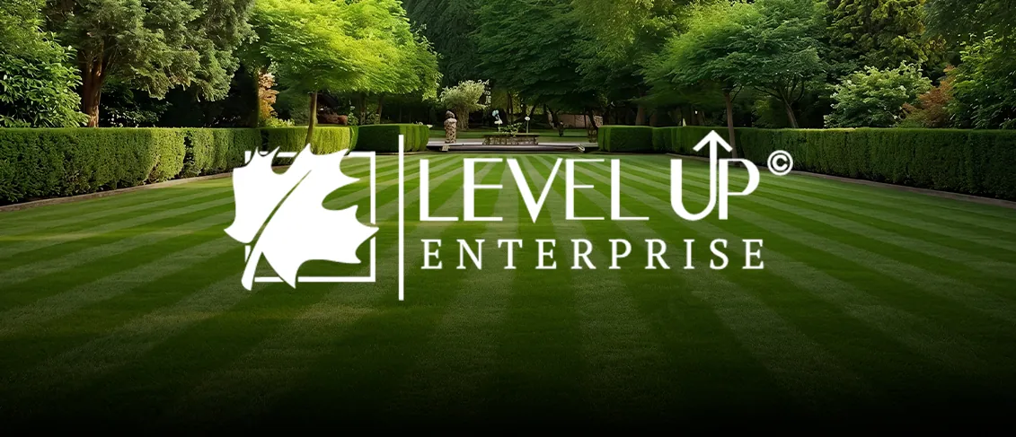 Level Up Enterprise